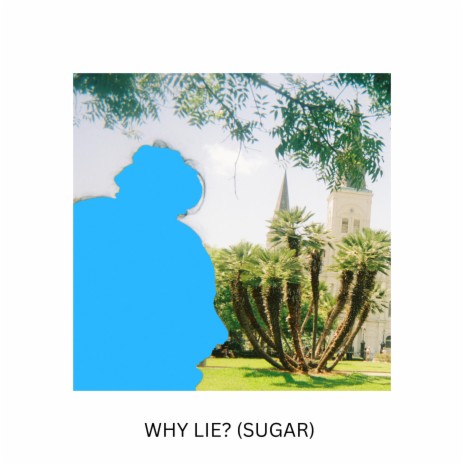 Why Lie? (Sugar) | Boomplay Music