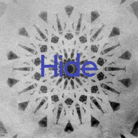 HIDE | Boomplay Music