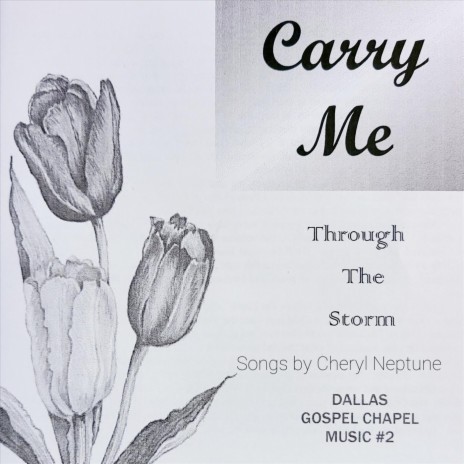 Carry Me Through the Storm | Boomplay Music