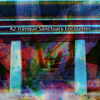 42 Tranquil Sanctuary Encounter