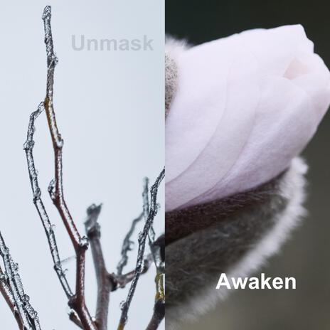 Awaken | Boomplay Music