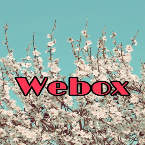 Webox | Boomplay Music