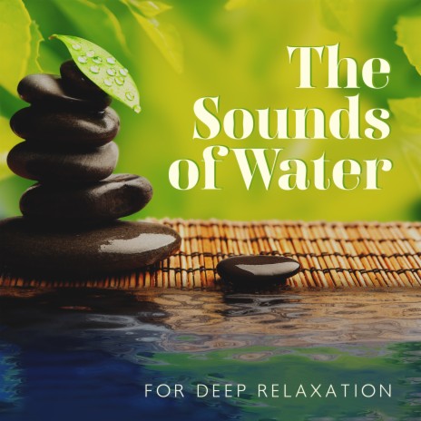 Nature Waterfall Therapy | Boomplay Music