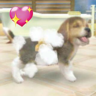 nintendogs