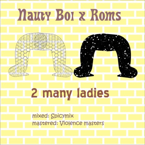 2 Many Ladies ft. Roms | Boomplay Music