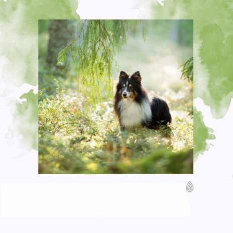 Réveil Détendu de la Forêt ft. Calming for Dogs Indeed, Henry Mindfulness, Mellow Music Inc, Relaxing Zen Music Therapy & Calming Music for Dogs | Boomplay Music