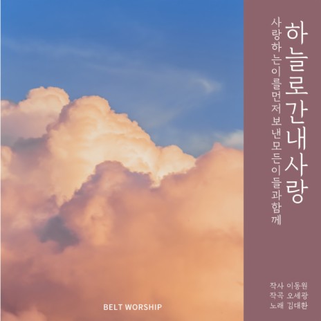 하늘로 간 내 사랑 (violin) (Inst) | Boomplay Music