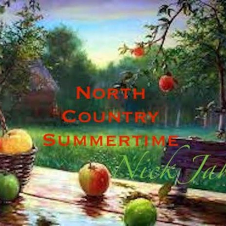 north country summertime | Boomplay Music