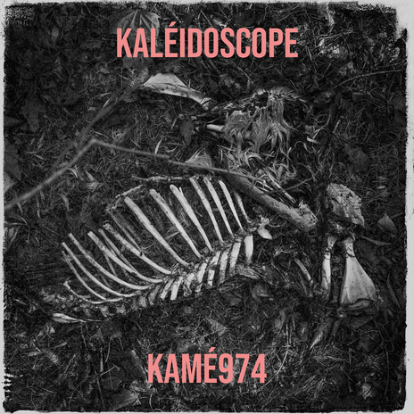 Kaléidoscope | Boomplay Music