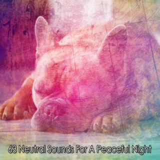 63 Neutral Sounds For A Peaceful Night