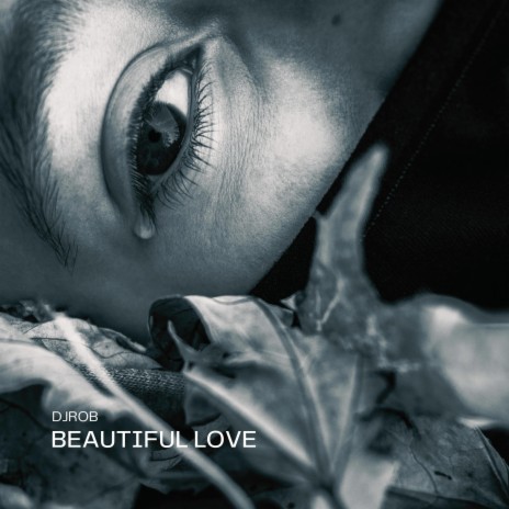 Beautiful Love | Boomplay Music