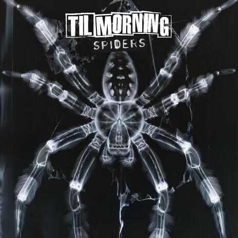 Spiders | Boomplay Music