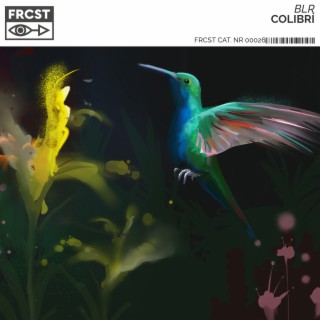 Colibrí