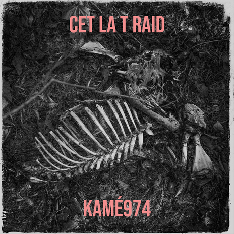 Cet la t raid | Boomplay Music