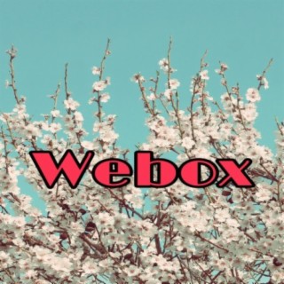 Webox