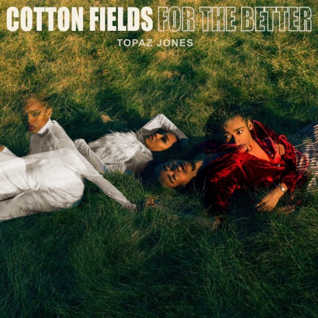 Cotton Fields | Boomplay Music