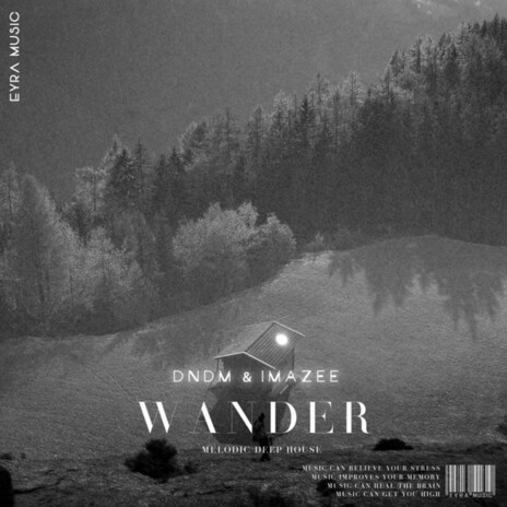 Wander ft. DNDM | Boomplay Music