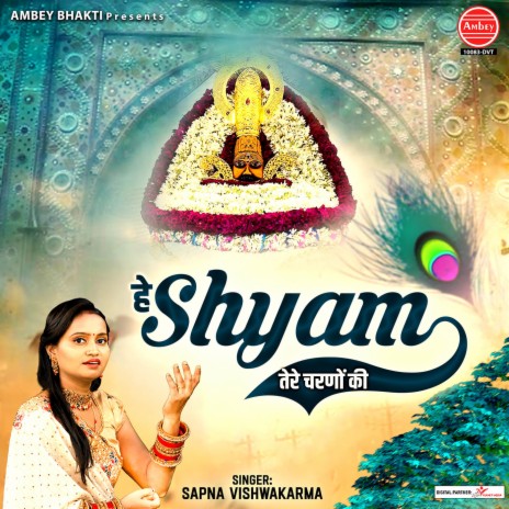 Hey Shyam Tere Charno Ki | Boomplay Music