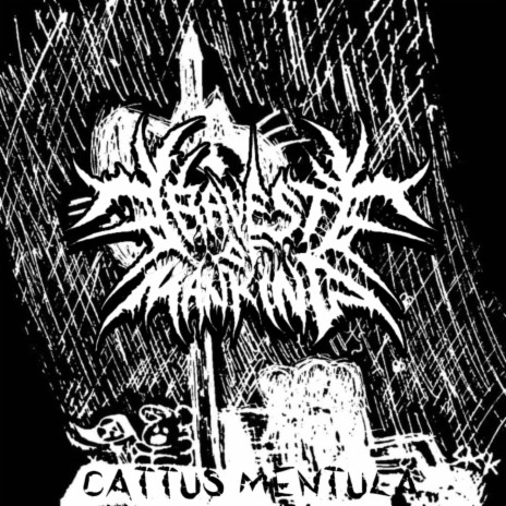 Cattus Mentula | Boomplay Music