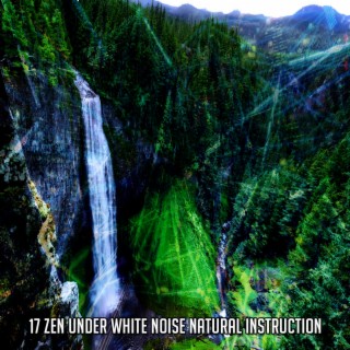 17 Zen Under White Noise Natural Instruction