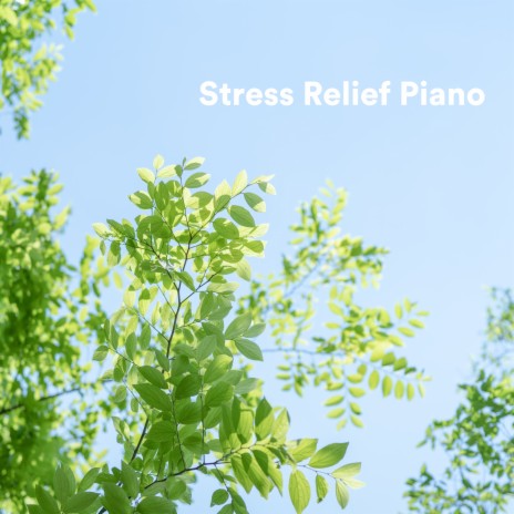 Noble ft. Stress Relief Helper & Musique Relaxante et Détente | Boomplay Music