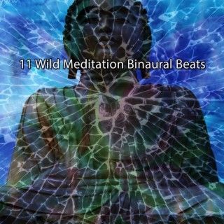 11 Wild Meditation Binaural Beats
