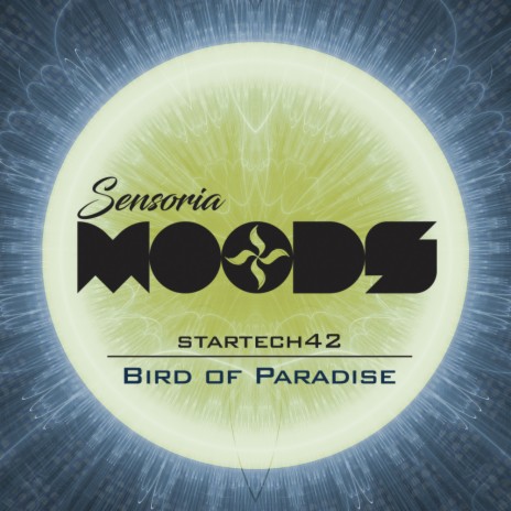 Bird of Paradise (Original Mix) | Boomplay Music