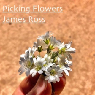 Picking Flowers