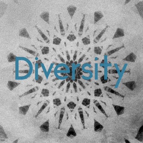 DIVERSITY (Alternate Version) | Boomplay Music