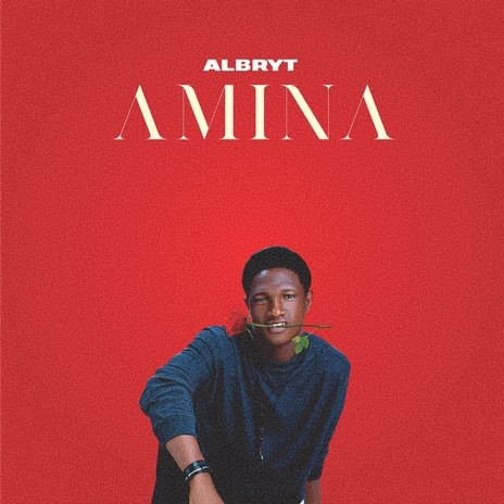 Amina | Boomplay Music