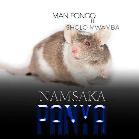 Namsaka Panya ft. Sholo Mwamba | Boomplay Music