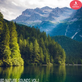 8D Nature Sounds, Vol. 1