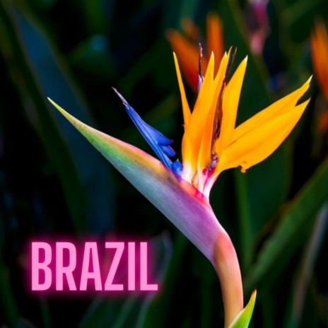 Brazil | Boomplay Music