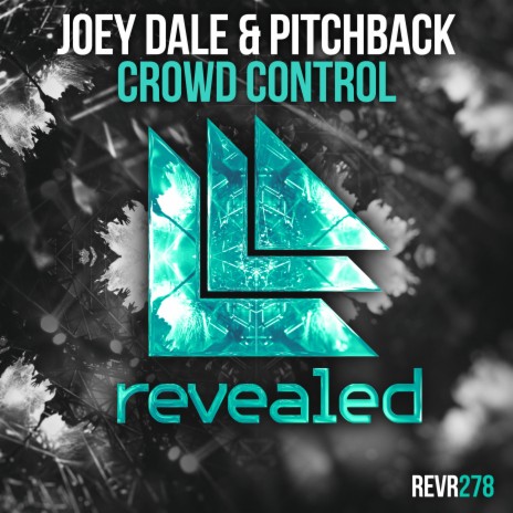 Crowd Control ft. Pitchback | Boomplay Music