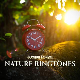 Nature Ringtones: Gentle Wake Up, Happy Morning, Nature Alarm Clock (Singing Birds, Rain & Waves)