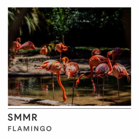 Flamingo | Boomplay Music