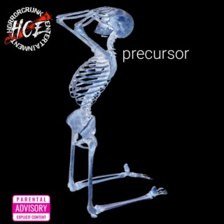 PRECURSOR