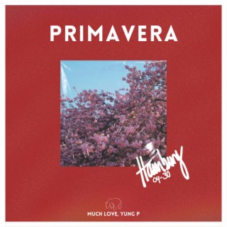 Primavera Mixtape