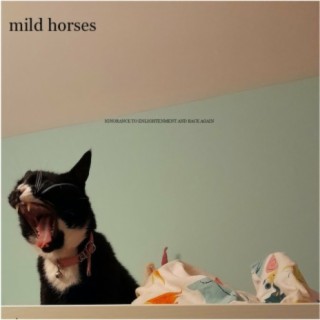 Mild Horses