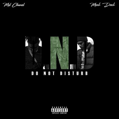 Do Not Disturb ft. Mook Dook | Boomplay Music