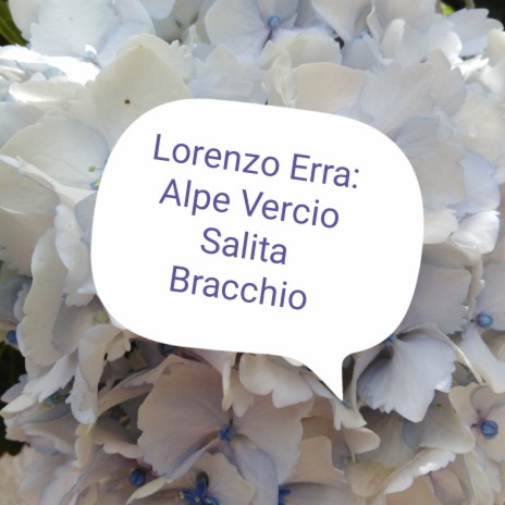 Alpe Vercio Salita Bracchio