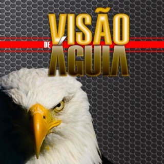 Visão de Águia