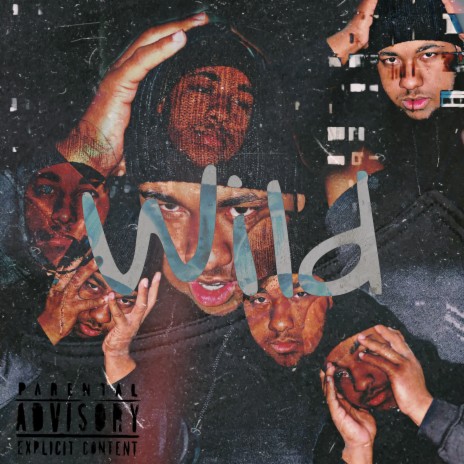 Wild | Boomplay Music