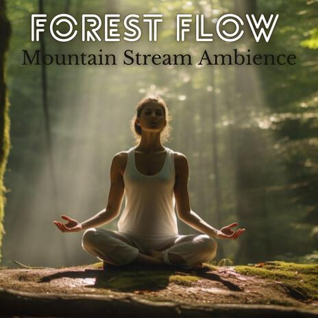 Forest Flow Sleep | Boomplay Music
