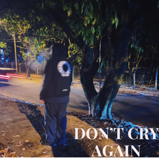 Don't Cry Again