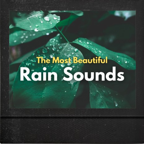 My Beautiful Rain ft. Sleepy Night Music, Hipnose Natureza Sons Coleção & Pro Sounds Of Nature | Boomplay Music