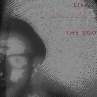 Like Animals In A Zoo lyrics | Boomplay Music