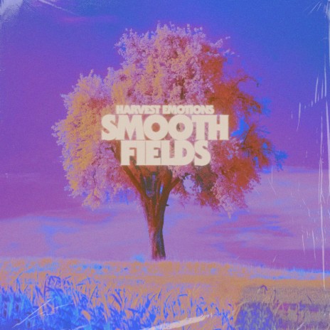 Smooth Fields | Boomplay Music