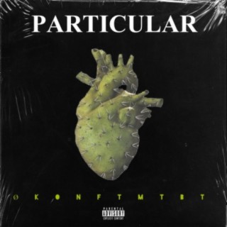 Particular (feat. MTBT)