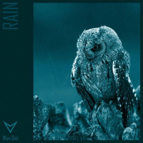 Rain (Extended Mix) | Boomplay Music